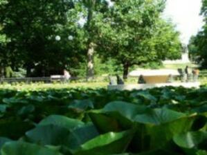 Борисовата градина става собственост на Столична община