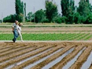 Води и земеделие: устойчивост, пазари и политики