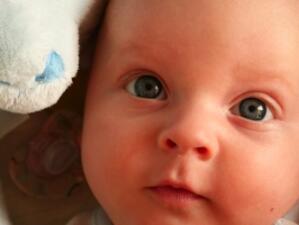 153 бебета са се родили след ин витро процедури в Плевен