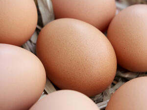 Няма забрана за продажба на яйца, отглеждани в клетки