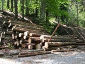 Износът на дървесина за трети страни нараснал двойно за година