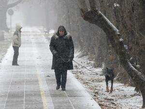 400 глоби са наложени в София заради непочистени тротоари  