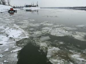До 80% достига ледоходът по река Дунав