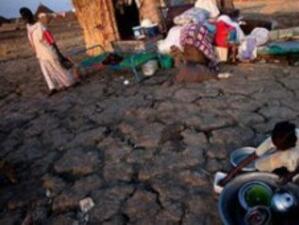 ООН: Най-тежката суша от десетилетия връхлетя населението в Африканския рог
