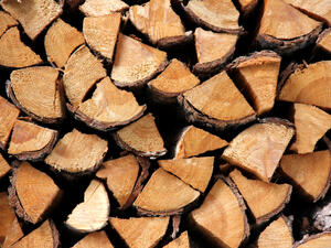 50% от дървесината ще се продава на борсите, 50% - чрез търгове