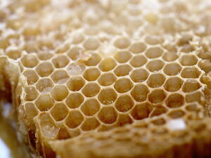 Произвеждаме най-евтиния мед в Европа 