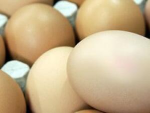 30% от яйцата на българския пазар са със спорно качество