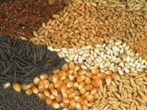 Русия въвежда забрана за внос на семена от Египет