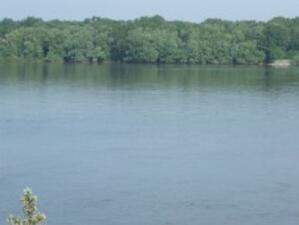 Ниското ниво на р. Дунав доведе до понижение на броя на птиците