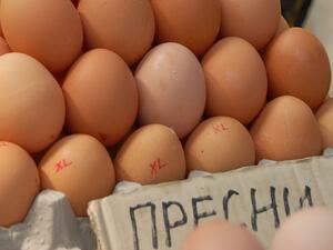 Решено е: Ще се внасят яйца от Полша