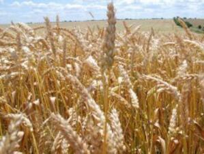 Москва вдига ембаргото върху износа на зърно