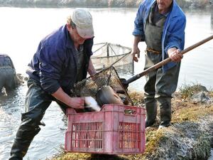 ДФЗ отпусна 50 хил. лв. на рибарска група в Доспат