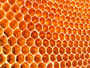 От 26 март започва нов прием по пчеларската програма