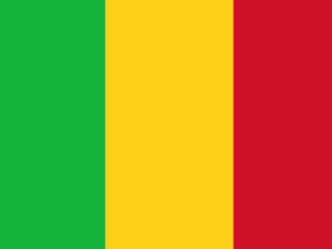 ЕК прекратява помощите за развитие на Мали до "изясняване на ситуацията"
