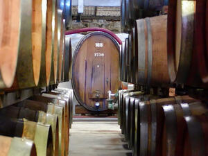 ДФЗ даде 884 хил. лв. на трима бенефициенти от винарския сектор