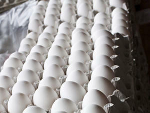 Цените на яйцата по Великден - като миналогодишните