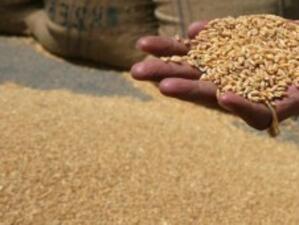 Франция спря продажбата на три вида семена заради заразата с Ешерихия коли