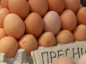 Яйцата са поскъпнали с 40.5% за една година