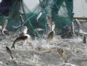 Рибари готвят протест пред МЗХ
