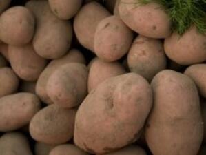 Производителите на картофи се оттеглят от протестите