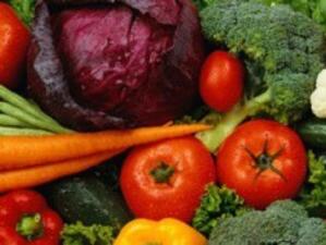 Катар забрани вноса на салатни зеленчуци от Германия и Испания