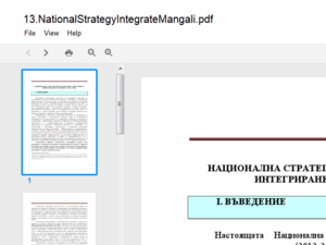 В президентството интегрират "мангали"*