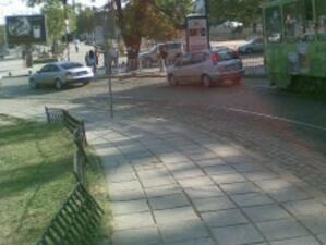 Обновяват зелените площи в София