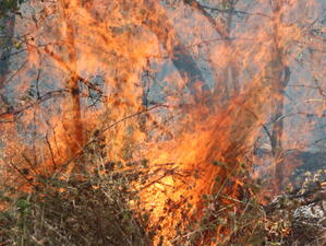 Голям пожар гори край Харманли, обявено е бедствено положение за две села