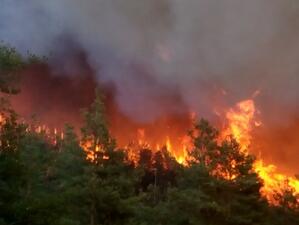 Щетите за икономиката ни от горските пожари от началото на годината са за 5 млн. лв.