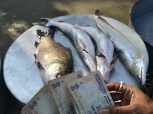 Хаос в Индия при подмяна на излезли от употреба банкноти