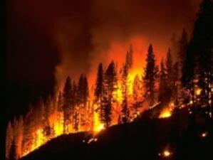 Близо 200 души бяха евакуирани заради горски пожар на остров Ибиса
