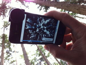 Смартфон приложение ще пази от горски пожари