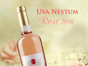 Бутиковата изба Uva Nestum посрещна Първа пролет с новото си розе