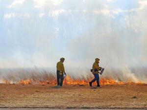 Български пожарникари се включват в гасенето на пожара на Атон*