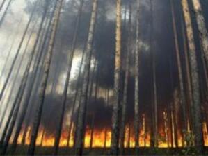 Пожари са обхванали над 100 хил. хектара площ в руския Далечен изток