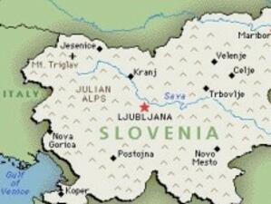 Предсрочни избори в Словения